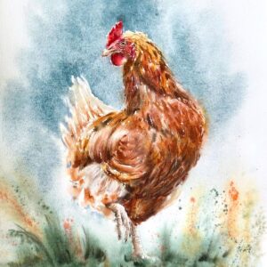 Hen 27x38 cm by Stela Toncheva